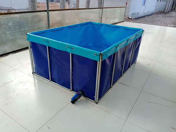 支架水池鱼池